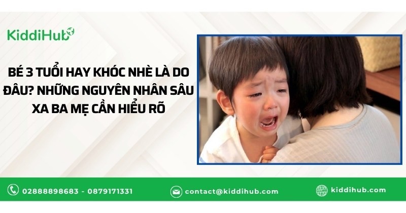 Bé 3 tuổi hay khóc nhè là do đâu? Những nguyên nhân sâu xa ba mẹ cần hiểu rõ