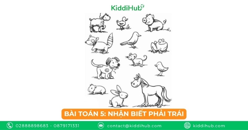 Bài toán 5