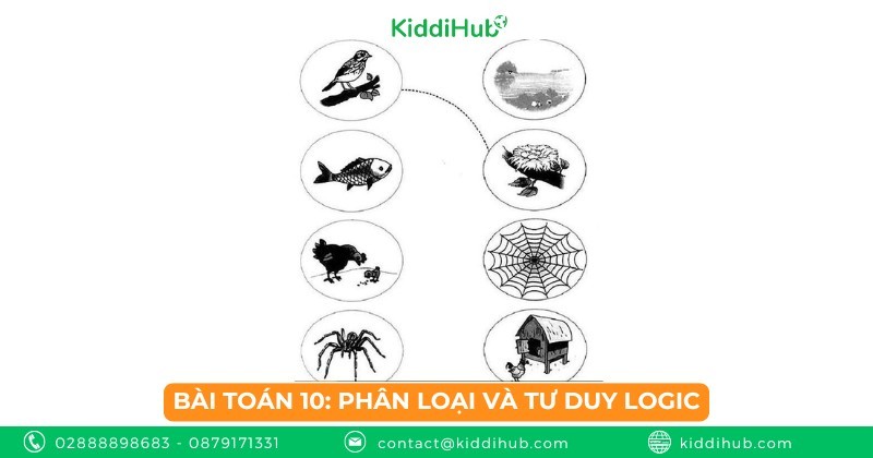 Bài toán 10