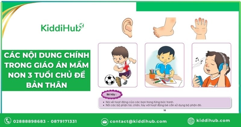 Các nội dung chính trong giáo án mầm non 3 tuổi chủ đề bản thân