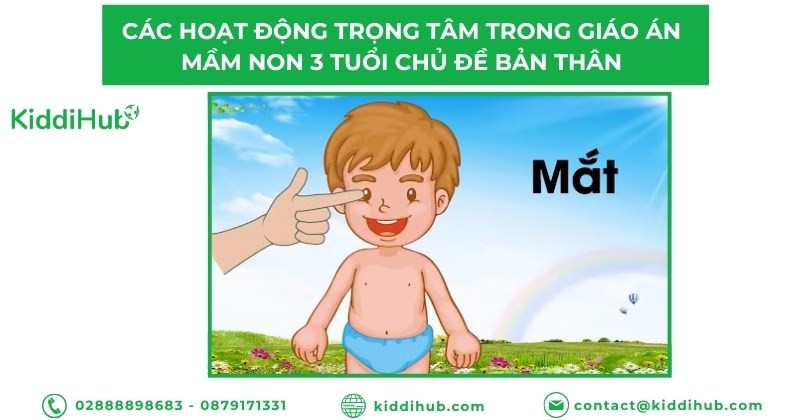 Các hoạt động trọng tâm trong giáo án mầm non 3 tuổi chủ đề bản thân