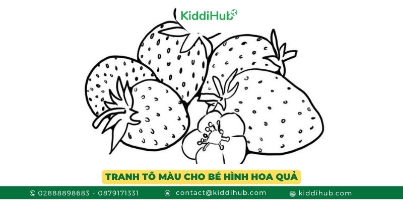 Tranh tô màu với chủ đề hoa quả dành cho bé