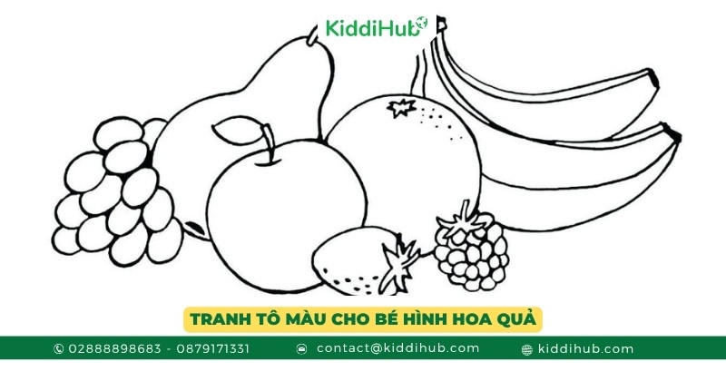 Tranh tô màu với chủ đề hoa quả dành cho bé