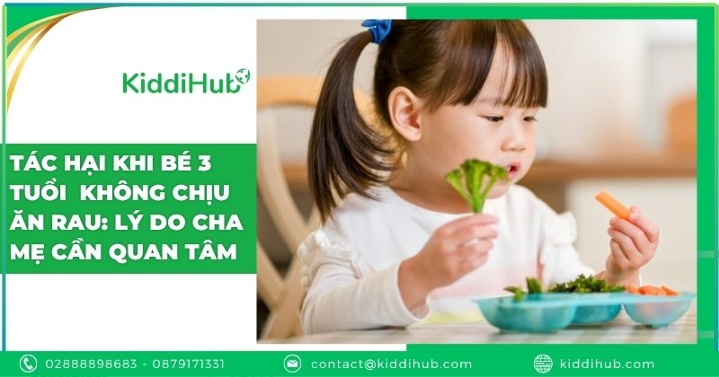 Tác hại khi bé 3 tuổi không chịu ăn rau: Lý do cha mẹ cần quan tâm