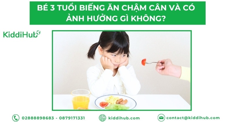Bé 3 tuổi biếng ăn chậm cân có ảnh hưởng gì không?