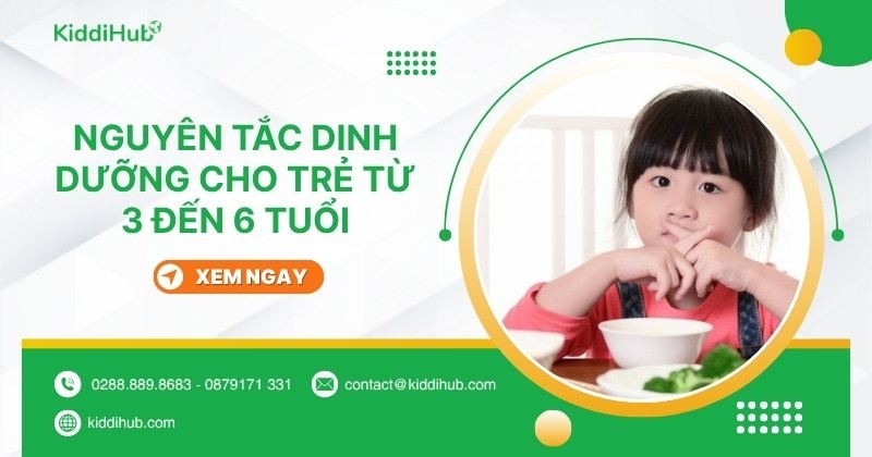 Nguyên tắc xây dựng tháp dinh dưỡng cho trẻ từ 3 đến 6 tuổi