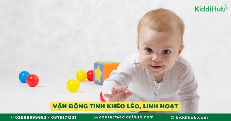 Vận động tinh khéo léo, linh hoạt