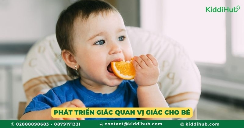 Phát triển giác quan vị giác cho bé