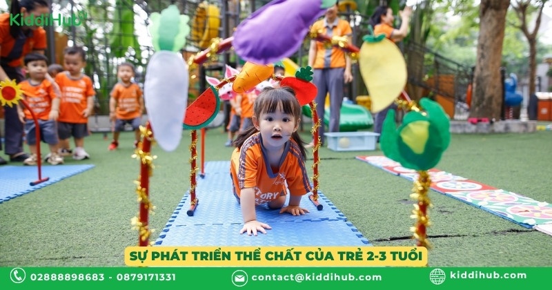 Sự phát triển thể chất của trẻ 2-3 tuổi