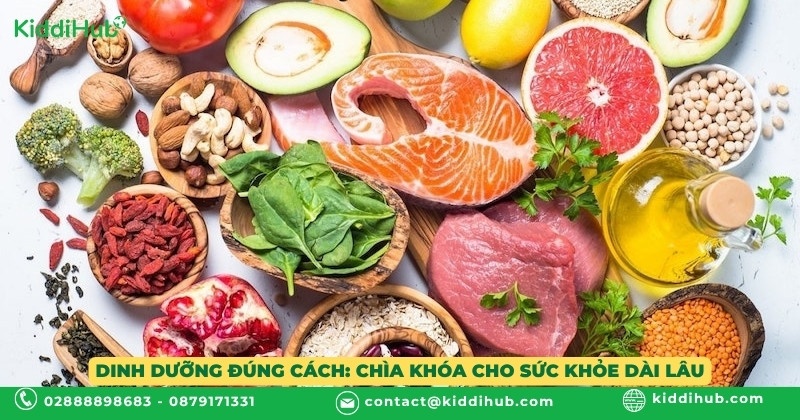 Dinh dưỡng đúng cách: Chìa khóa cho sức khỏe dài lâu