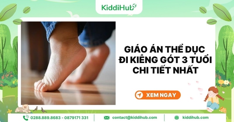 Giáo án thể dục đi kiễng gót 3 tuổi chi tiết nhất