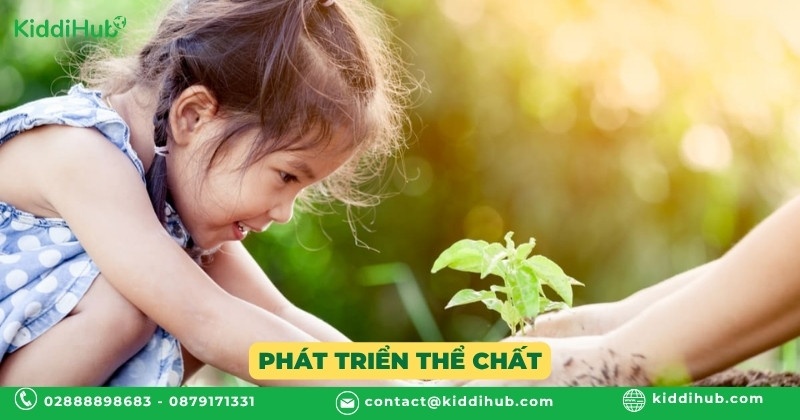 Phát triển thể chất