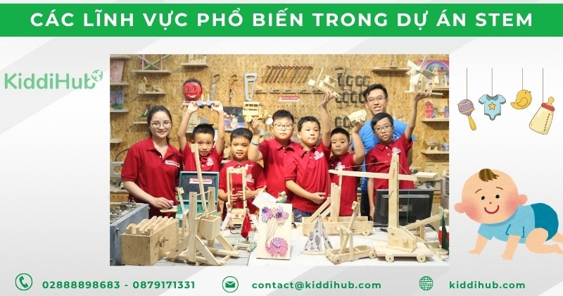 Các lĩnh vực phổ biến trong dự án STEM