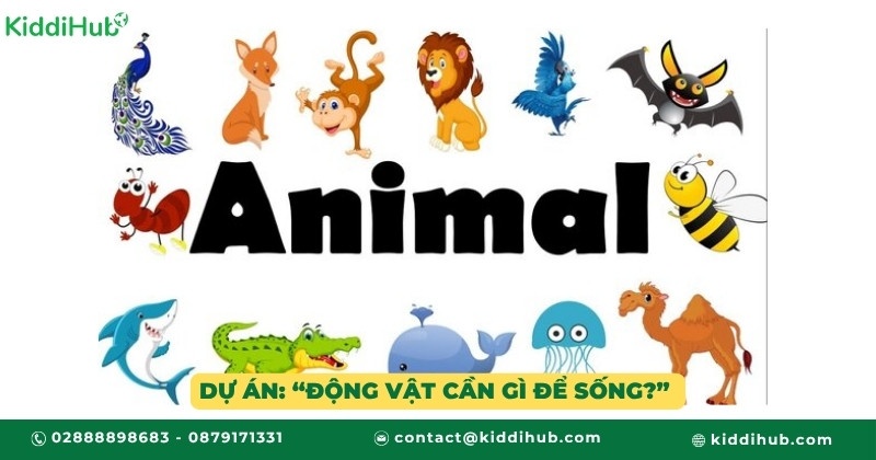 Dự án: “Động vật cần gì để sống?” 