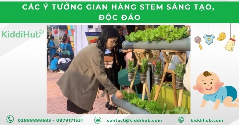 Các ý tưởng gian hàng STEM sáng tạo, độc đáo