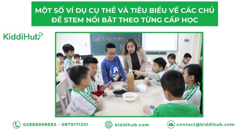 Một số ví dụ cụ thể và tiêu biểu về các chủ đề STEM nổi bật theo từng cấp học