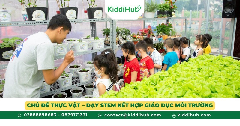 Chủ đề Thực vật – Dạy STEM kết hợp giáo dục môi trường
