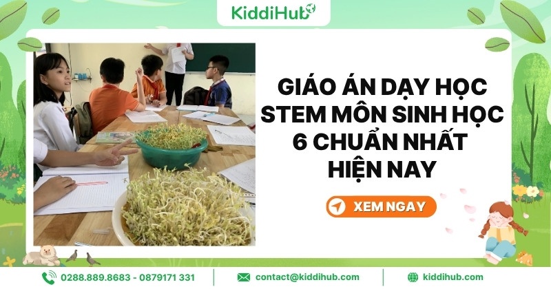 Giáo án dạy học STEM môn sinh học 6 chuẩn nhất hiện nay