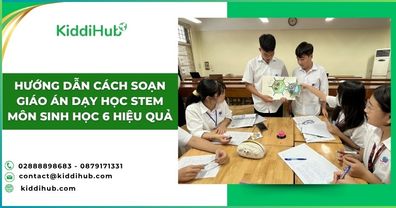 Hướng dẫn cách soạn giáo án dạy học STEM môn Sinh học 6 hiệu quả