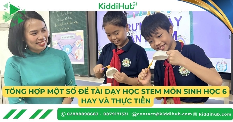 Tổng hợp một số đề tài dạy học STEM môn Sinh học 6 hay và thực tiễn