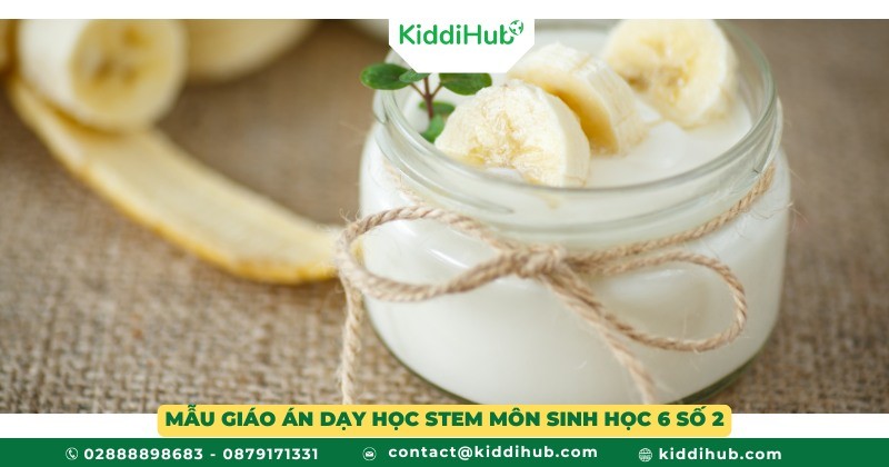 Mẫu giáo án dạy học STEM môn sinh học 6 số 2