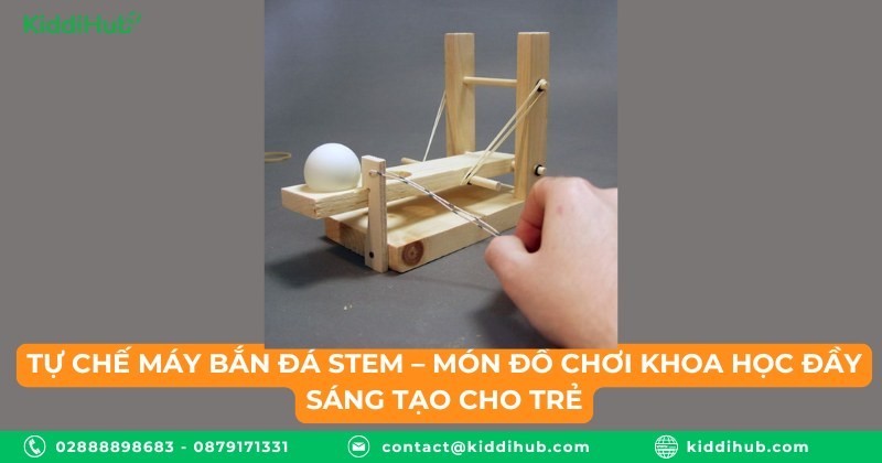 Tự chế máy bắn đá STEM – Món đồ chơi khoa học đầy sáng tạo cho trẻ