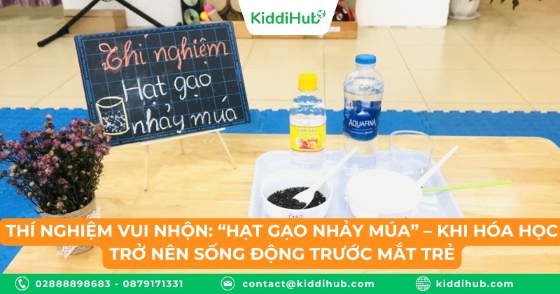 Thí nghiệm vui nhộn: “Hạt gạo nhảy múa” – Khi hóa học trở nên sống động trước mắt trẻ