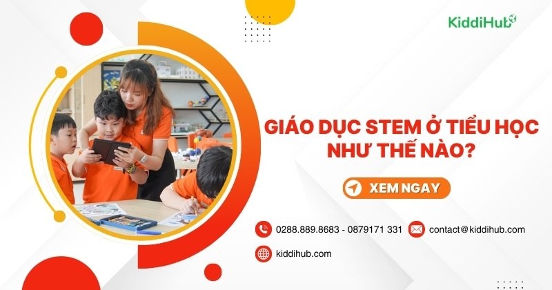 Giáo dục STEM ở tiểu học như thế nào?