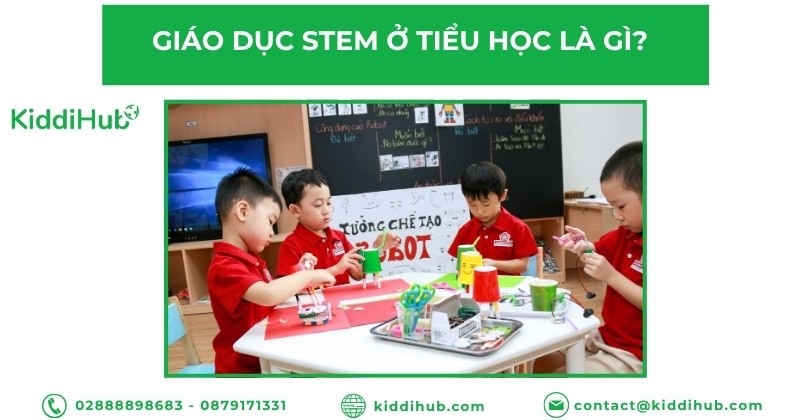 Giáo dục STEM ở tiểu học là gì?