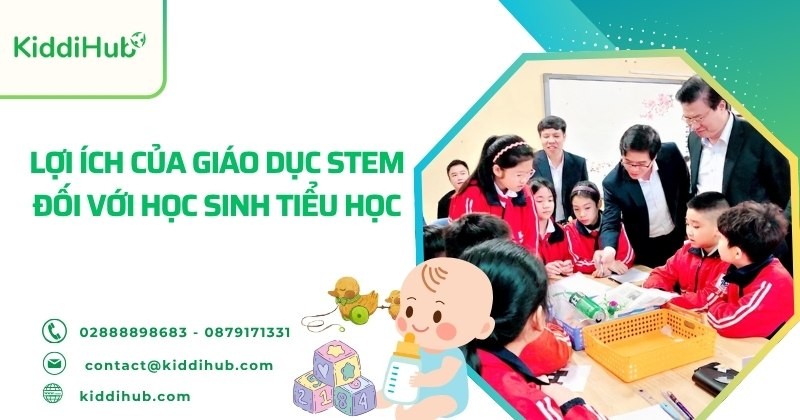 Lợi ích của giáo dục STEM đối với học sinh tiểu học