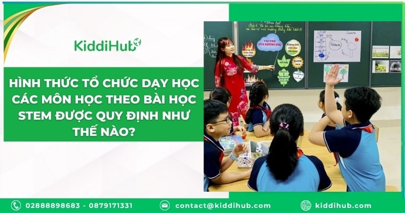 Hình thức tổ chức dạy học các môn học theo bài học STEM được quy định như thế nào?
