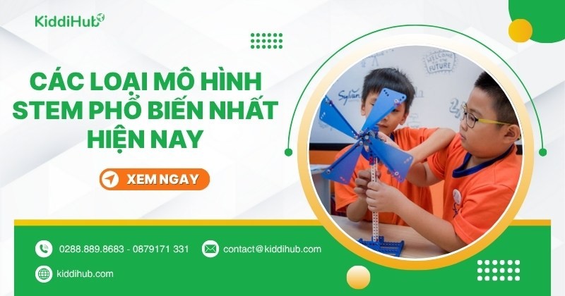 Các loại mô hình STEM phổ biến nhất hiện nay