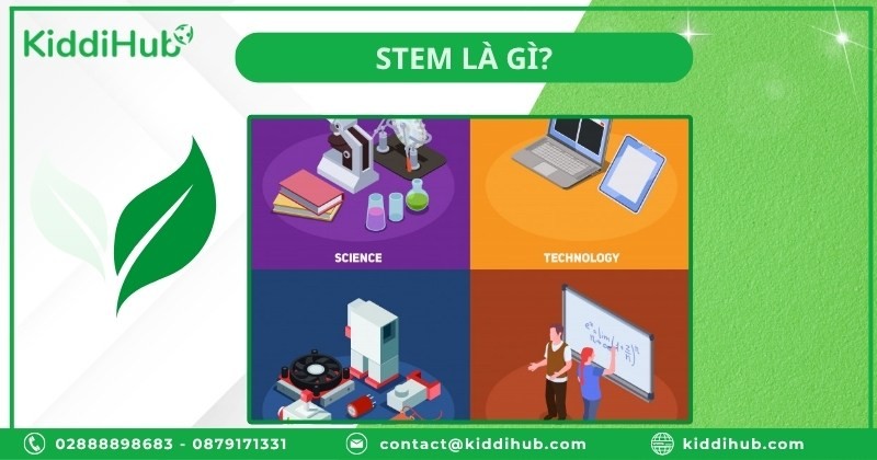 STEM là gì?