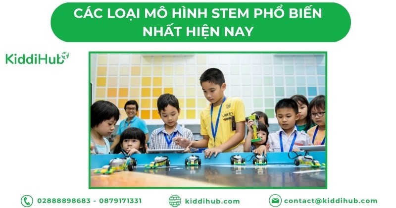 Các loại mô hình STEM phổ biến nhất hiện nay