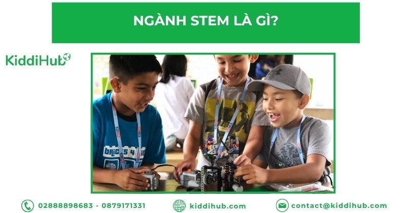 Ngành STEM là gì?
