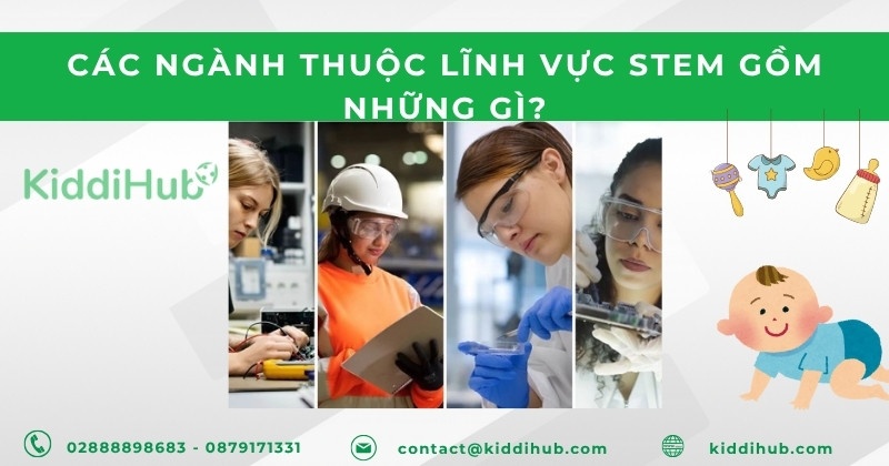 Các ngành thuộc lĩnh vực STEM gồm những gì?