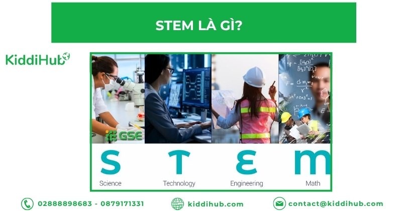 STEM là gì?