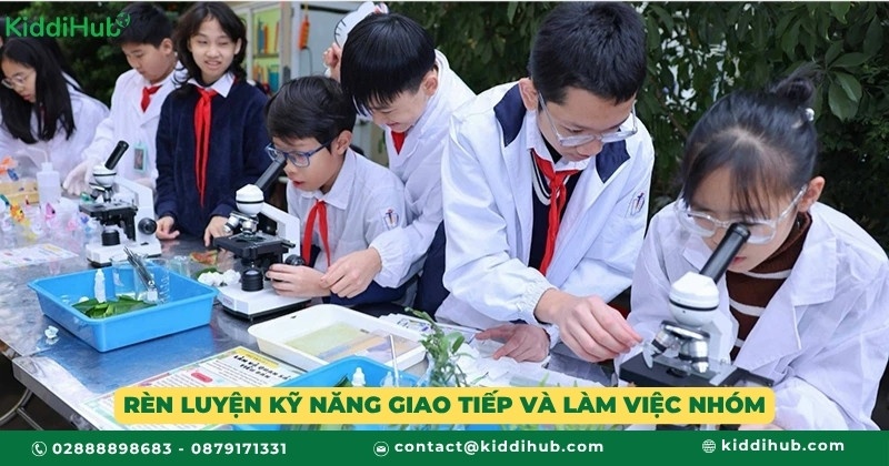 Rèn luyện kỹ năng giao tiếp và làm việc nhóm