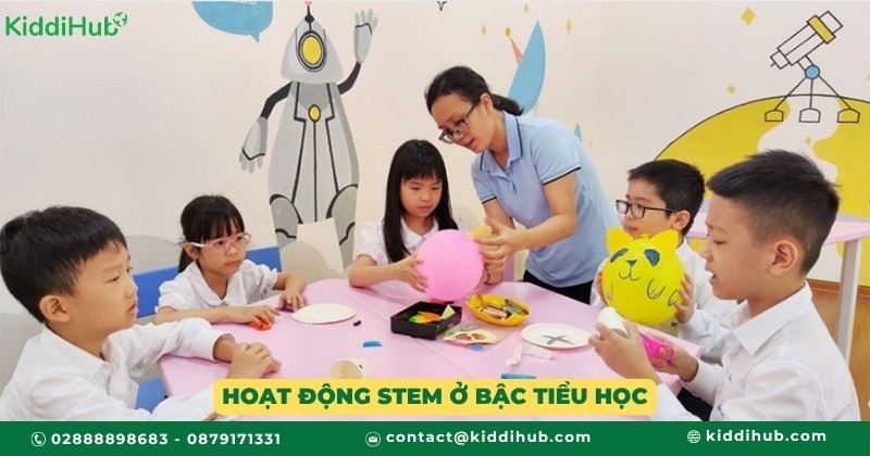 Hoạt động STEM tiểu học