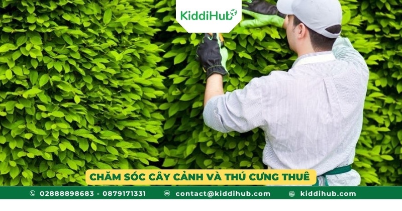Chăm sóc cây cảnh và thú cưng thuê – Công việc làm thêm thú vị, rèn luyện tính trách nhiệm