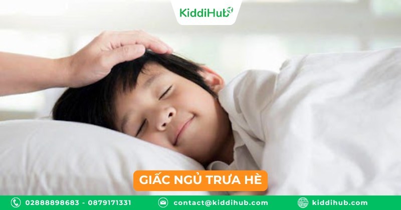 Giấc ngủ trưa hè