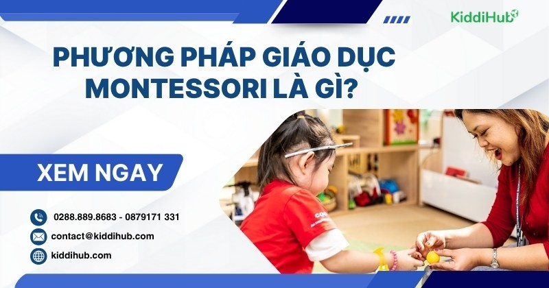 Phương pháp giáo dục Montessori là gì và cách thực hiện? 