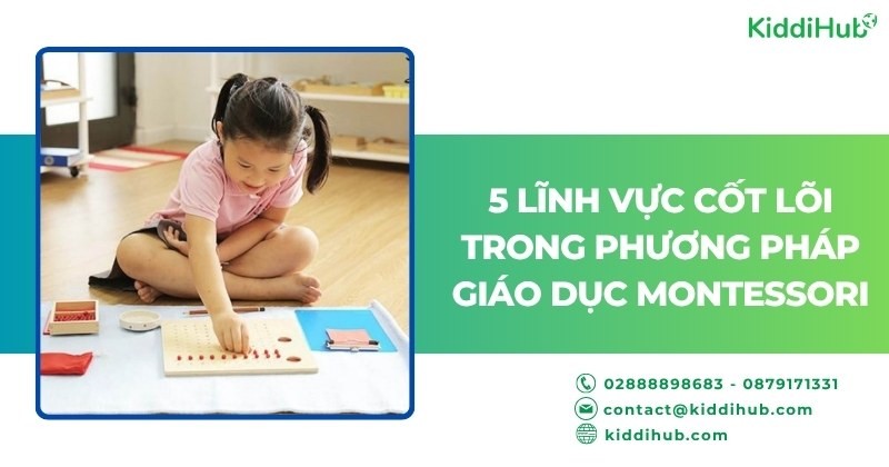 5 lĩnh vực cốt lõi trong phương pháp giáo dục Montessori là gì?