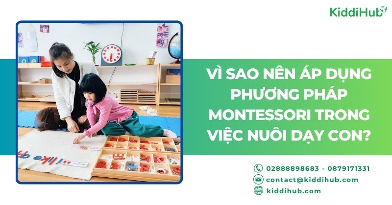 Vì sao nên áp dụng phương pháp Montessori trong việc nuôi dạy con?