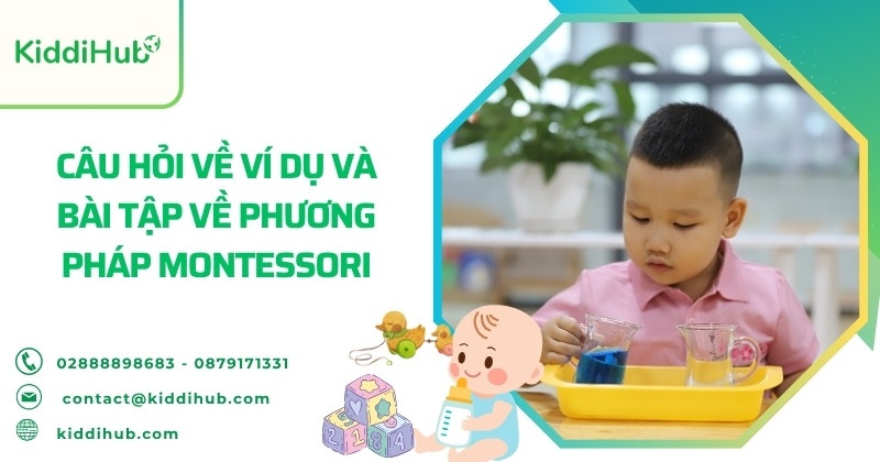 Câu hỏi về ví dụ và bài tập về phương pháp montessori