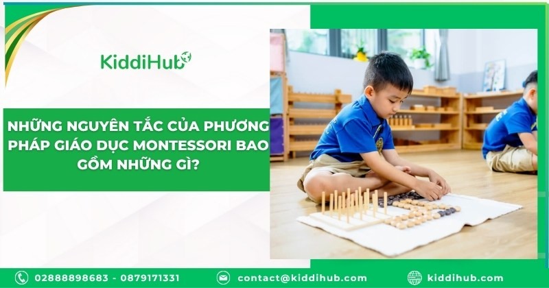 Những nguyên tắc của phương pháp giáo dục Montessori bao gồm những gì?