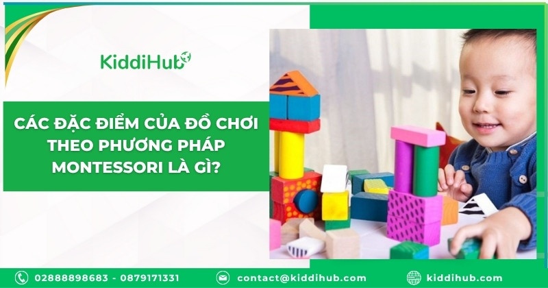 Các đặc điểm của đồ chơi theo phương pháp Montessori là gì?