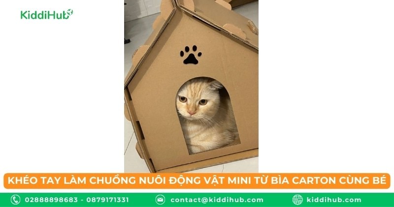 Khéo tay làm chuồng nuôi động vật mini từ bìa carton cùng bé