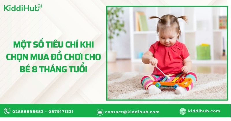 Một số tiêu chí khi chọn mua đồ chơi cho bé 8 tháng tuổi
