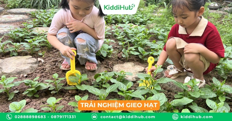 Trải nghiệm gieo hạt